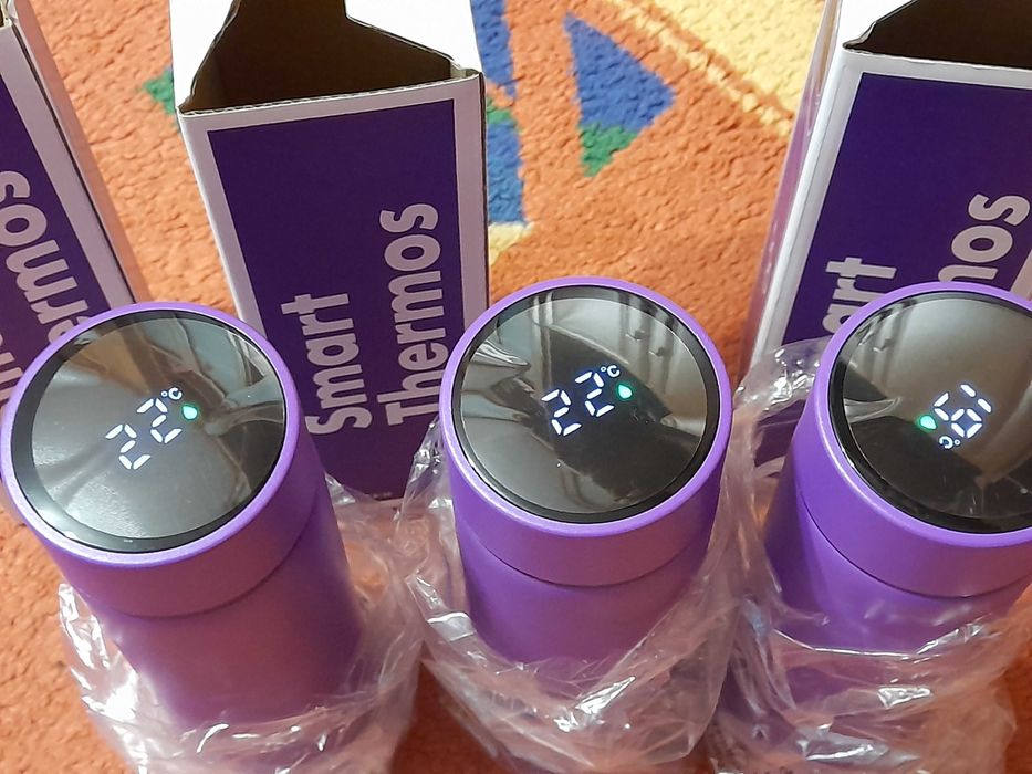 Термоси 500 мл Discover Smart