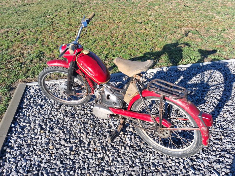 Komar sztywniak 1968