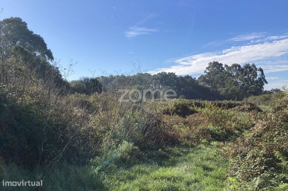 Terreno Rústico em Belinho e Mar
