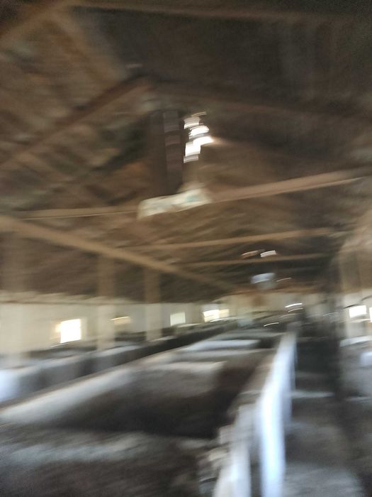 С/Х ферма(Свиноферма)