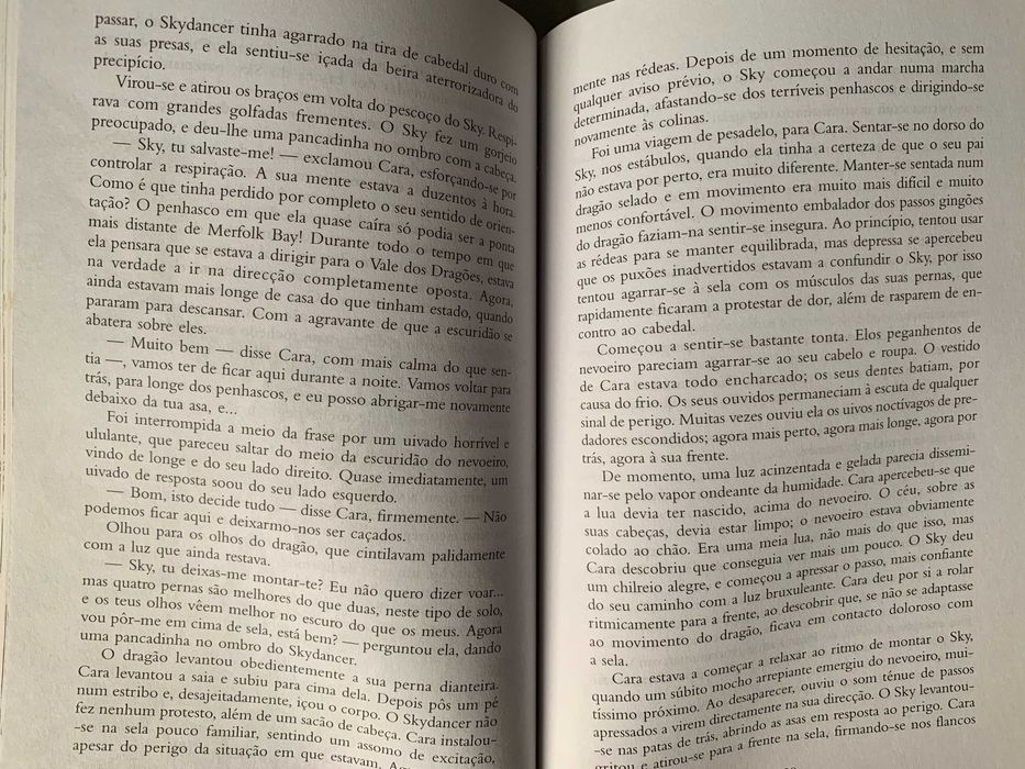 O Vale dos Dragões, de Salamanda Drake