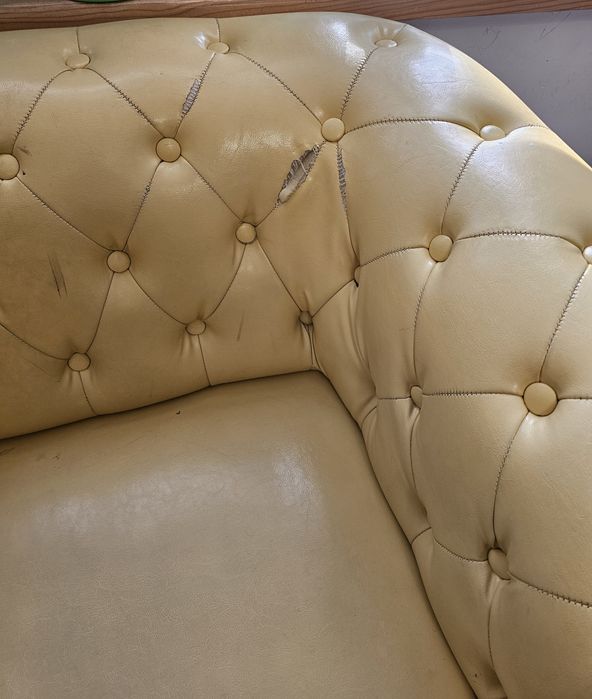 Żółty fotel Chesterfield