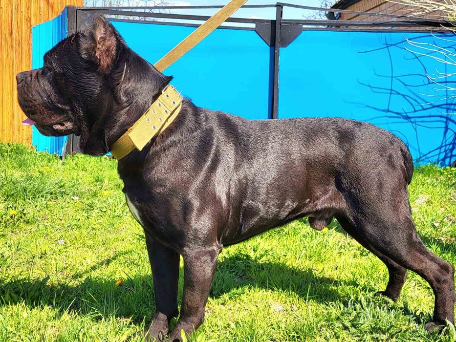 Хлопчик чекає зустрічі