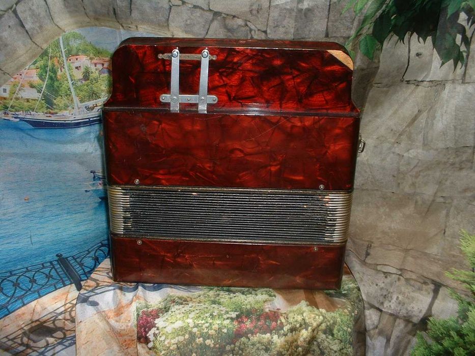 Concertina a venda n.928