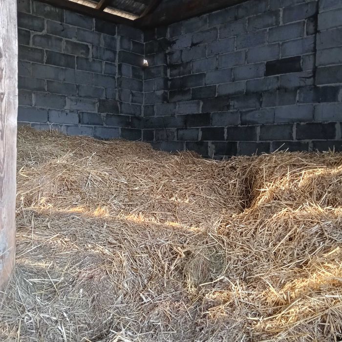 Oddam starą słomę