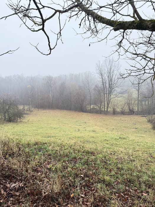 Будинок з великою ділянкою Косів