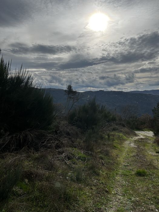 Terreno com Ruina - Serra do Marão