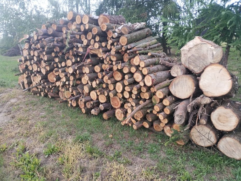 Sprzedam drewno opałowe