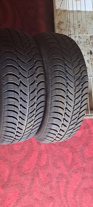 Opony Dębica Frigo 2