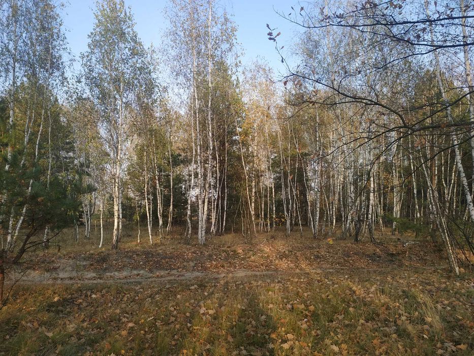 Продам ділянку 20 соток під забудову біля лісу с. Жукин