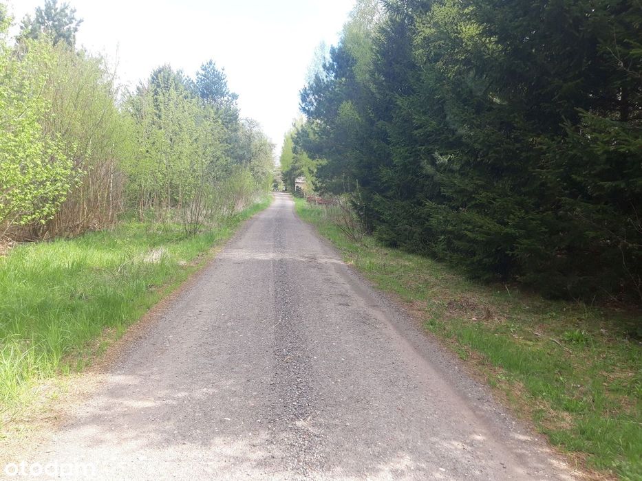 działka budowlana - prąd, gaz, woda w drodze Gminnej przed działką - Widok 6