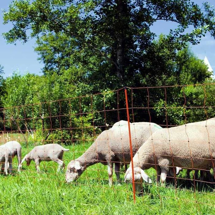 Siatka dla owiec elektryczna OviNet 50m, 90 cm, poj szpic pomarańczowy