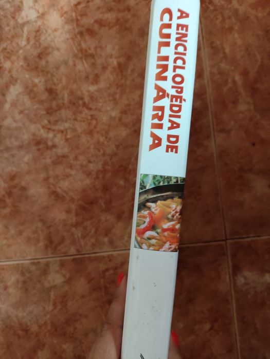 Livro a enciclopédia de culinária