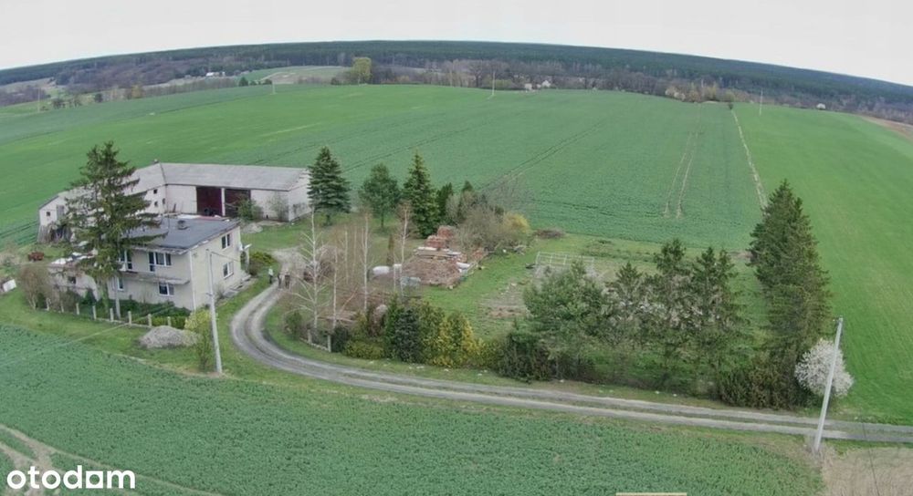 Dom pod Bydgoszczą blisko Trasy S5 Tryszczyn