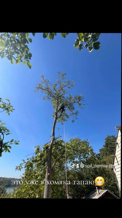 Спил деревьев. Спил дерев.расчистка участков. Культивация огорода