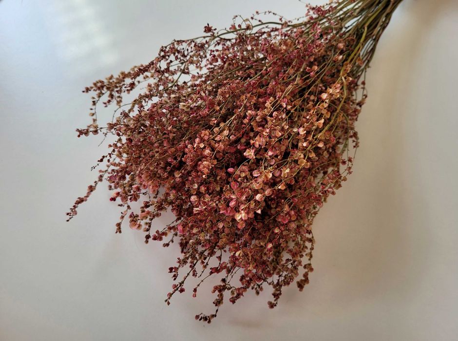 Muszle (winniczek) dekorowane, suszone kwiaty na wianki