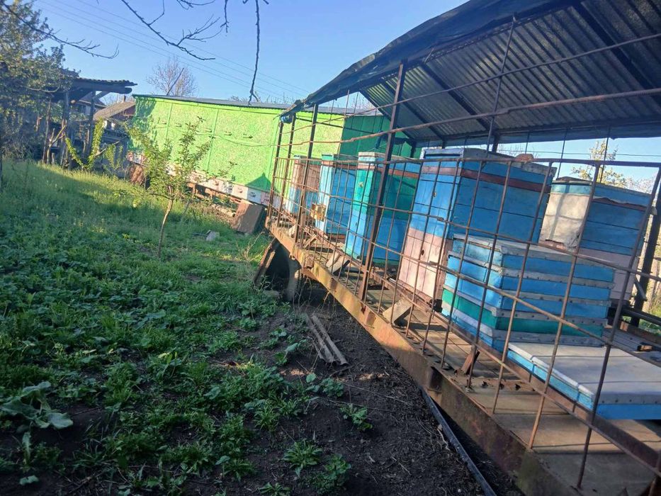 Павільйони для Бджіл виготовленні з тракторних прицепів