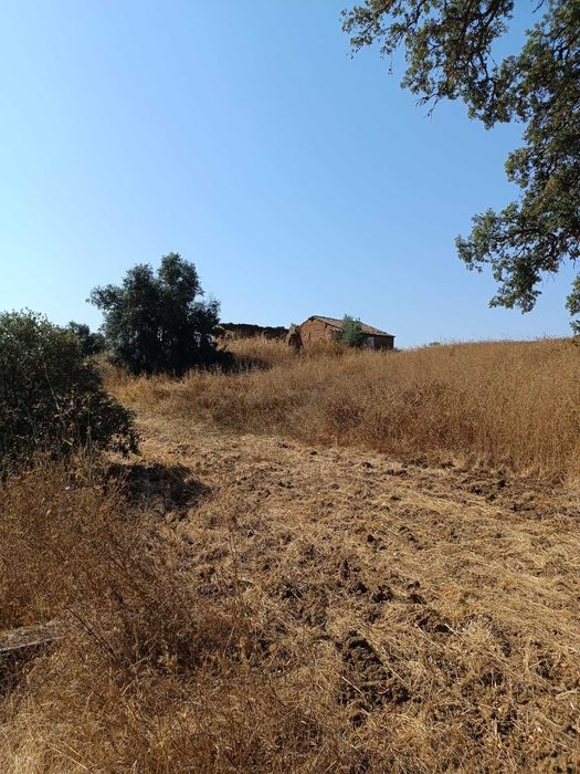 herdade no baixo Alentejo