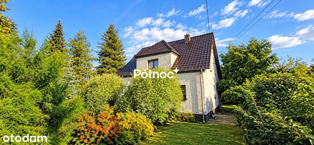 Zdjęcie 2