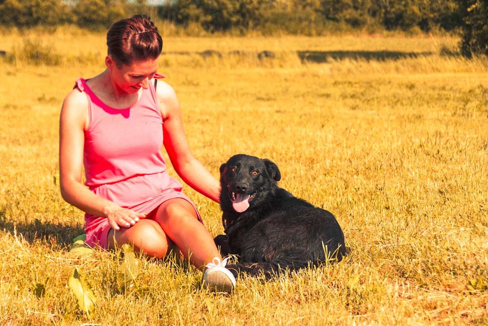 Verano super miły psiak czeka na dom
