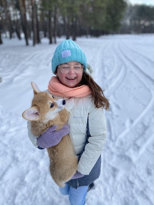 Малюки Вельш Корг