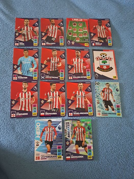 Karty piłkarskie Southampton