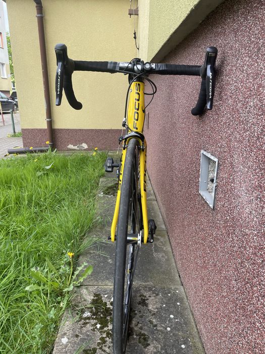 Rower szosowy Focus Cayo Evo 1.0 ultegra DI2 11s. 56 cm Mavic Ksyrium