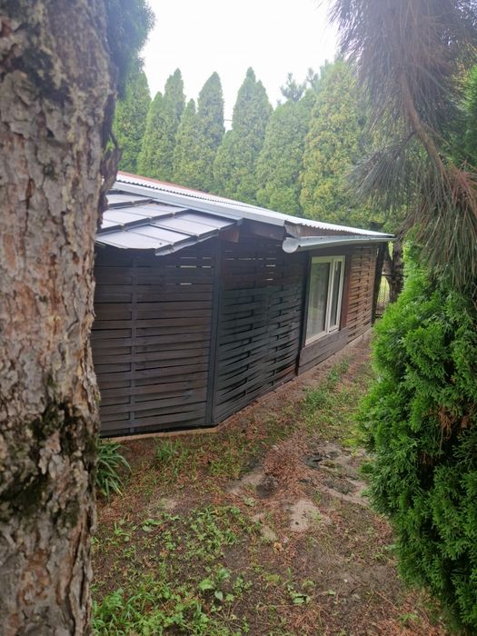 Działka ROD Oś konstytucji 3 Maja Kościan - Widok 3
