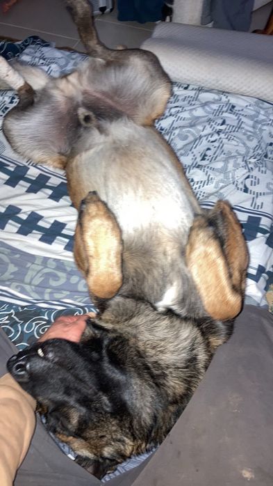 Кабель для в'язки малінуа