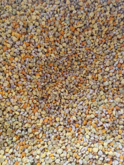 Бджолиний пилок,пильца