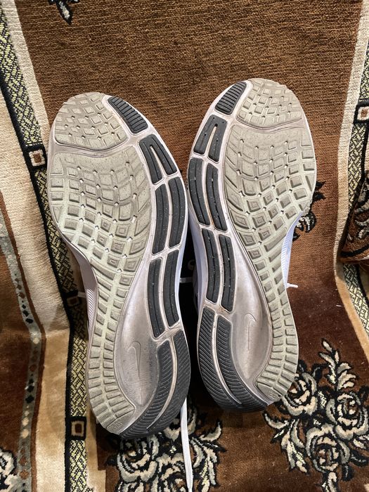 Nike Air Zoom Pegasus