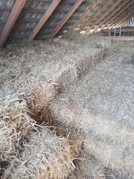 Słoma pszenna kostki .2025