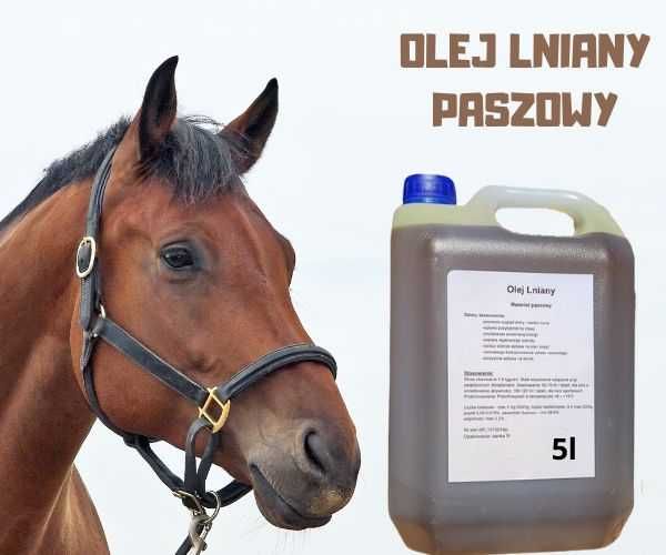Olej Lniany surowy 5 l bez dodatków / świeży olej lniany dla koni