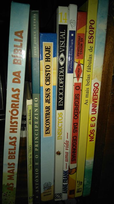 Livros variados, infantis, literatura portuguesa e internacional