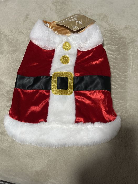 Одежда для собак