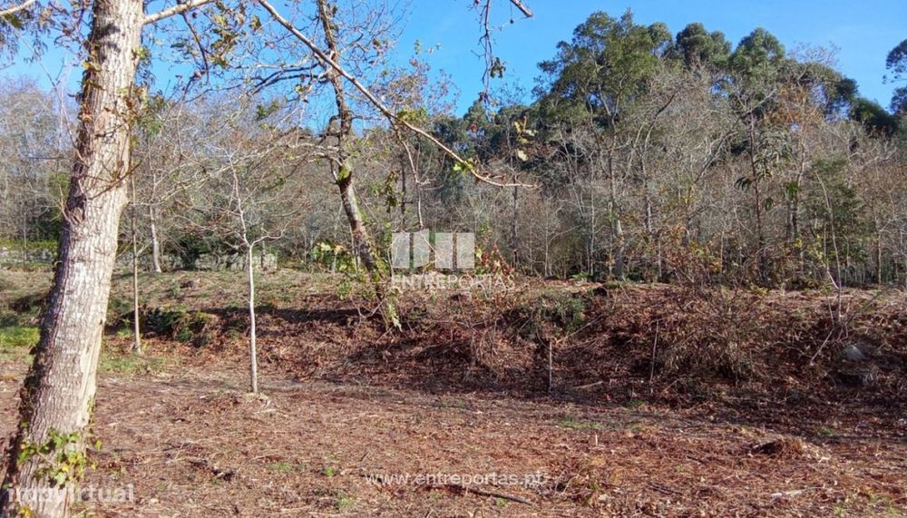 Venda de Terreno de construção, Afife, Viana do Castelo.