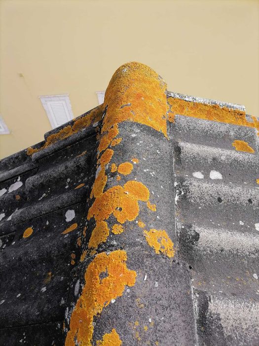 ... Só Telhados ... Reparações-Tratamentos-Isolamentos-Construções