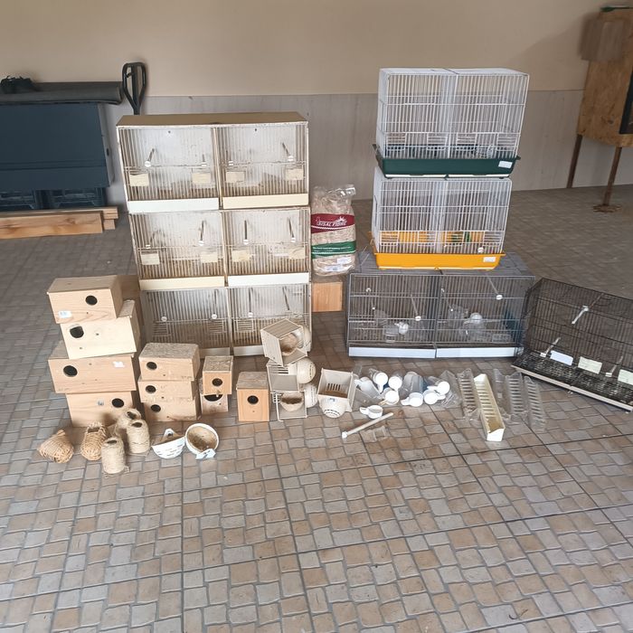 Lote gaiolas e acessórios