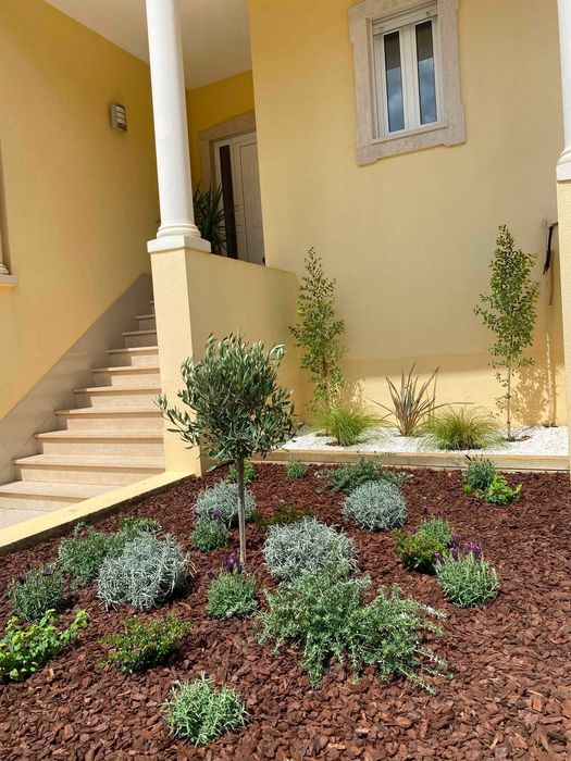 Serviços de Jardinagem | Cortes e Podas de árvores em altura