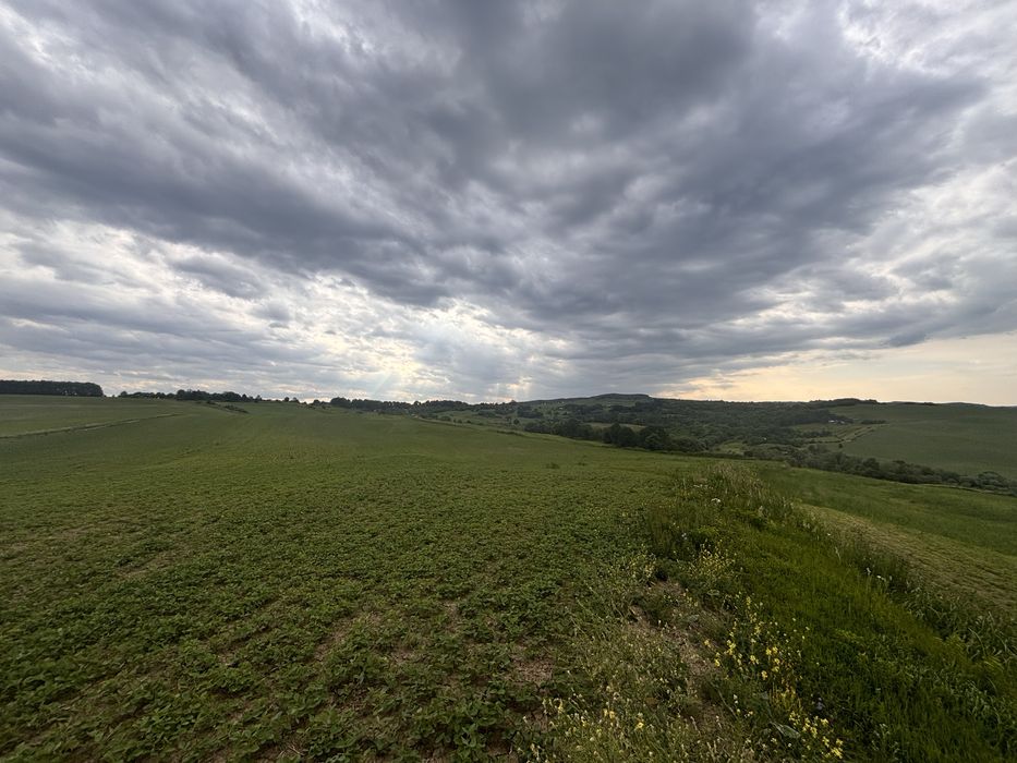 Продаж 26 Га землі с. Снячів (можливо частинами)