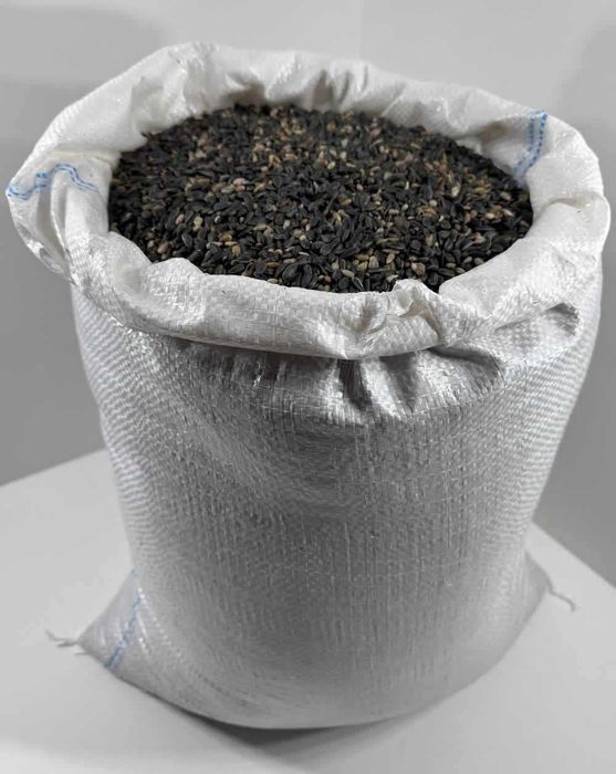 Słonecznik Oleisty 20 KG z Warmii na Domowy Olej bez Glifosatu