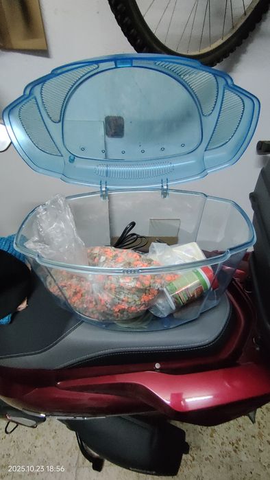 Aquário e acessórios