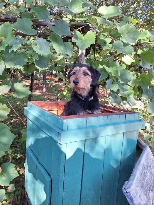 Ul z lat 60 do dekoracji ogrodu