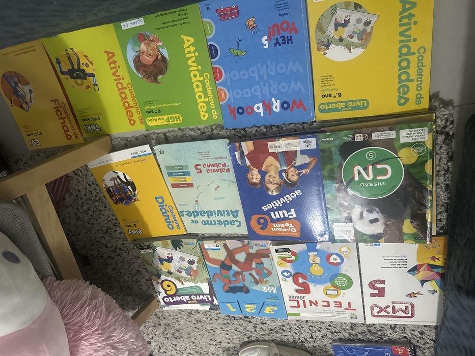 Livros escolares 5 e 6 ano