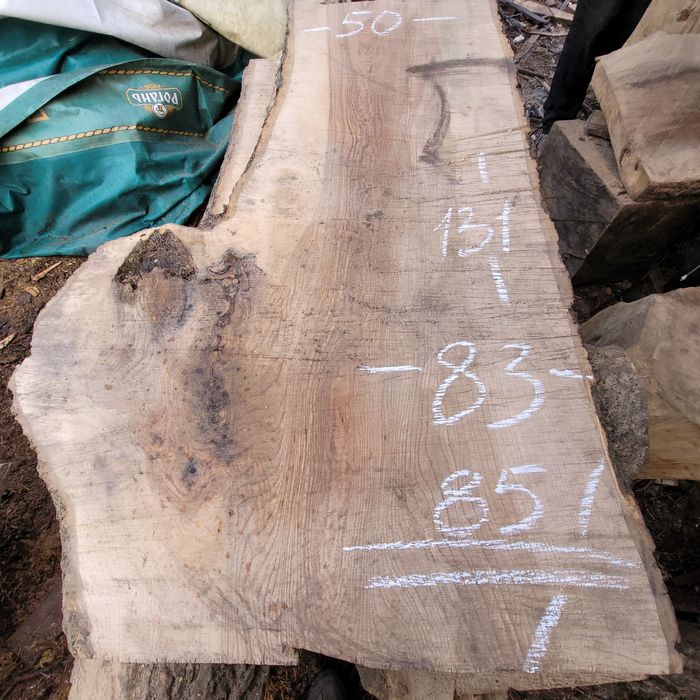 Срез дерева Спил дерева Пано