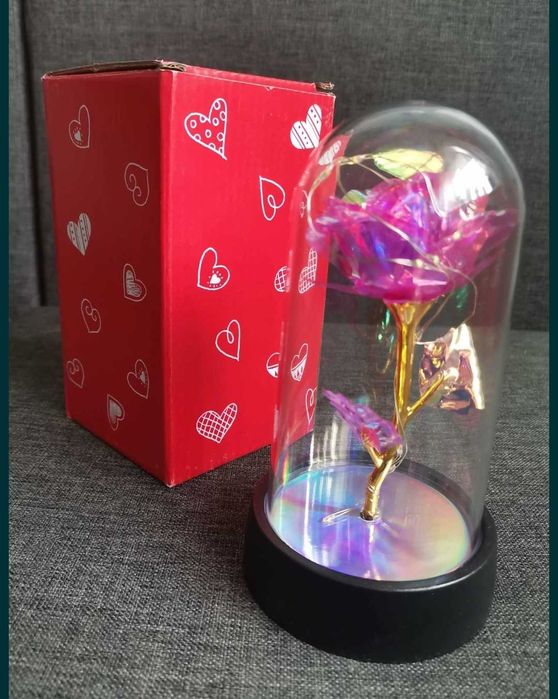 Nowa róża świecąca