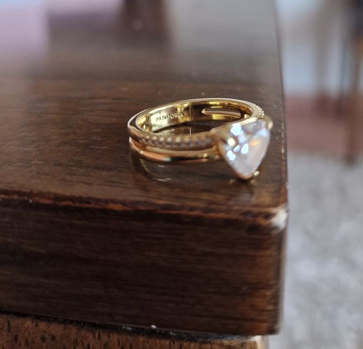 Anel Duplo Pandora (Revestimento a ouro 14K)