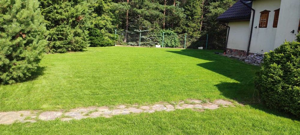 Usługi ogrodnicze, zakładanie trawników, stałe serwisy ogrodnicze