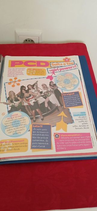 Dossier Pussycat Dolls, novo