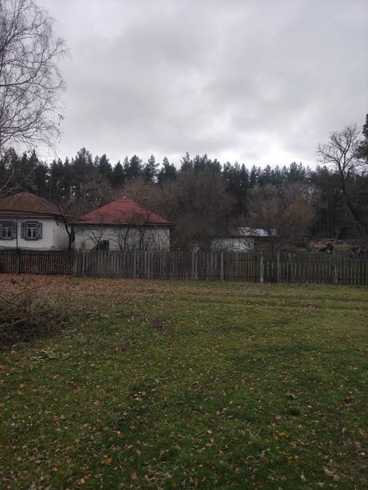 Продаж будинка с. Худоліївка біля лісу